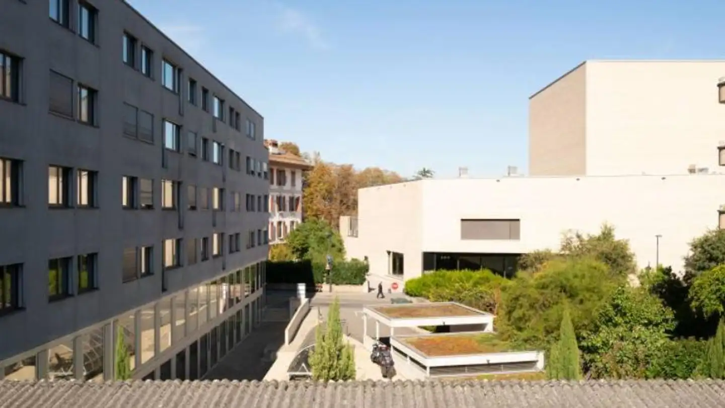 Office space for rent - Rue Du Tunnel 7, 1227 Carouge GE - Photo 3