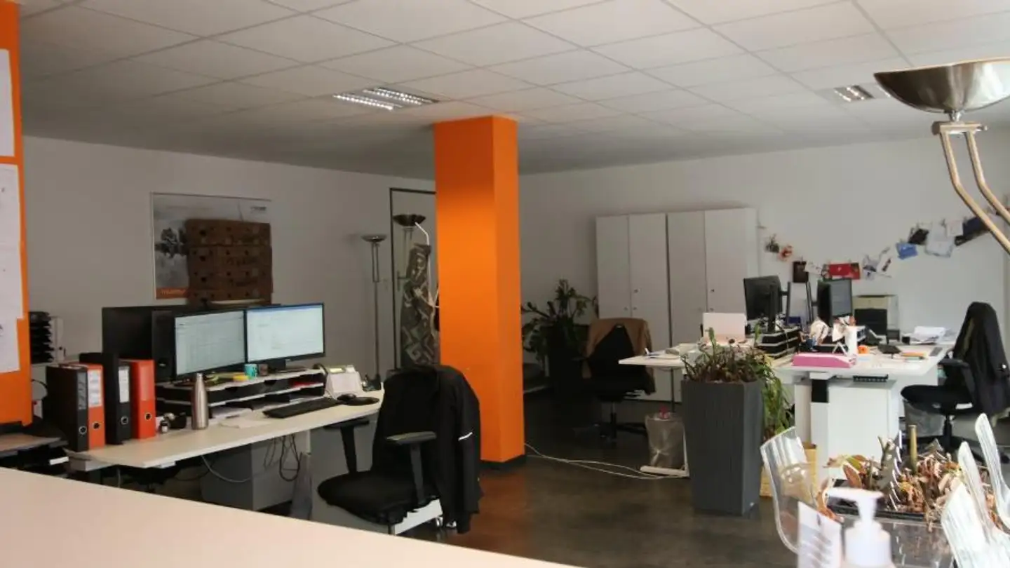 Gewerbe mieten - Zeughausstrasse 20, 1700 Fribourg - Foto 4