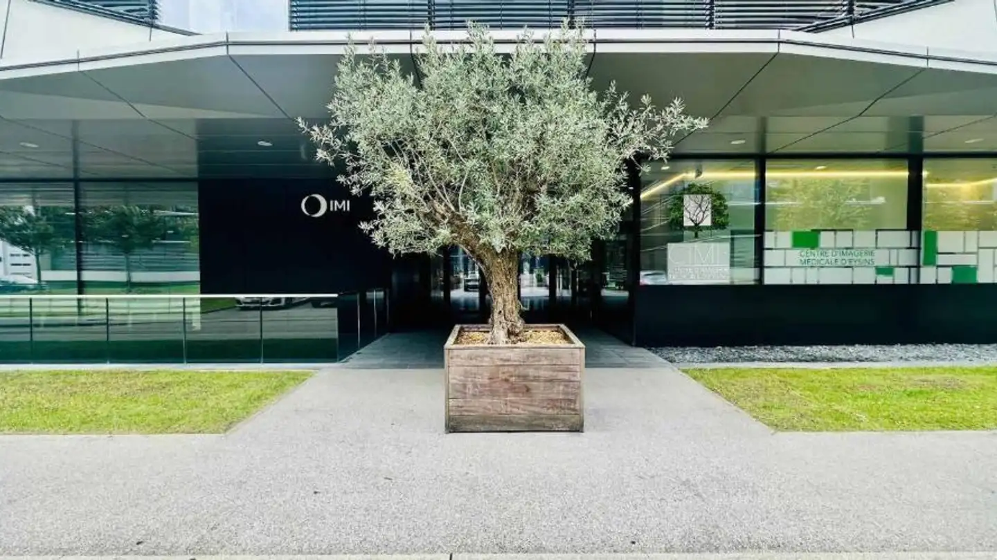 Bureau à louer - Route de Crassier 19, 1262 Eysins - Photo 2