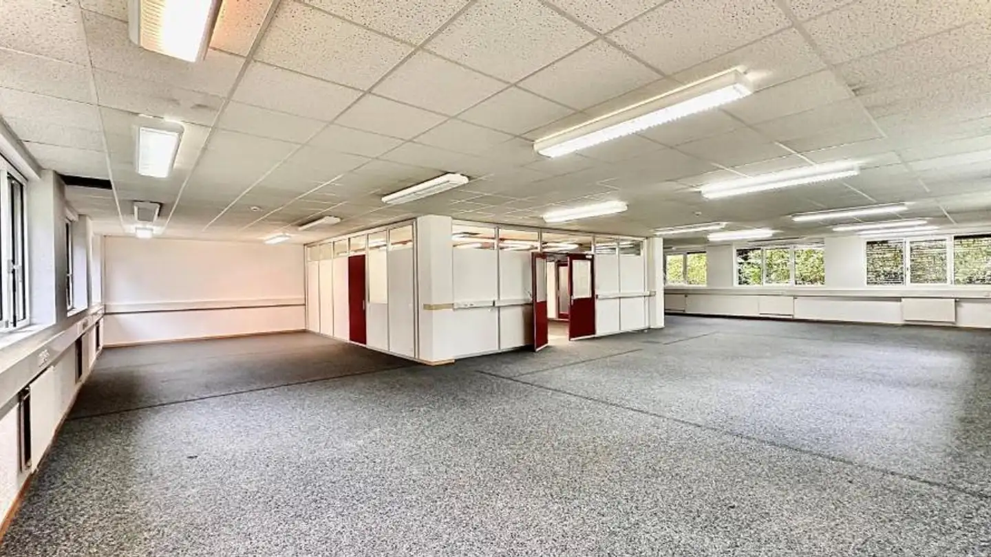 Commercial for rent - 1010 Lausanne - Photo 4