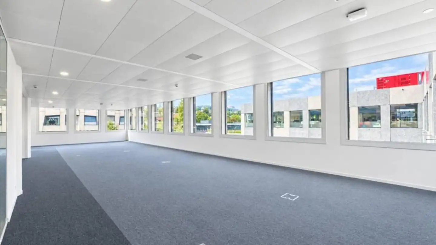 Commercial for rent - 1010 Lausanne - Photo 3