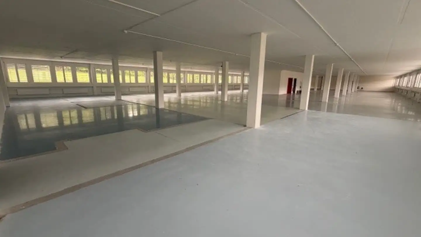 Office space for rent - Hinterbergstrasse 16, 6312 Steinhausen - Photo 2