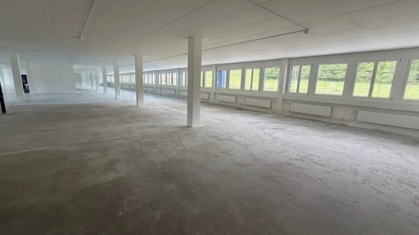 Office space for rent - Hinterbergstrasse 16, 6312 Steinhausen - Photo 4
