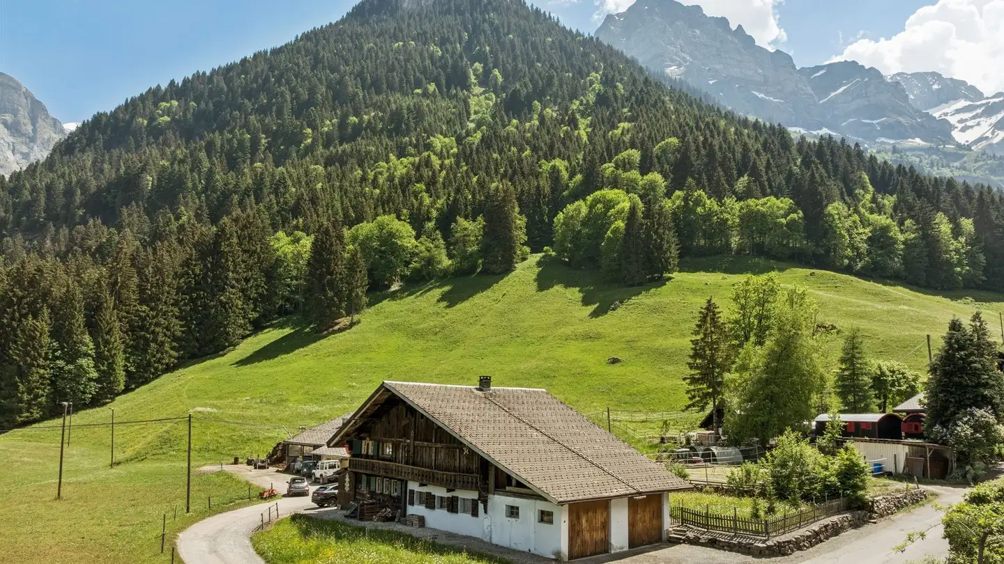 Chalet for sale - Route Du Grand Paradis 31, 1874 Champéry