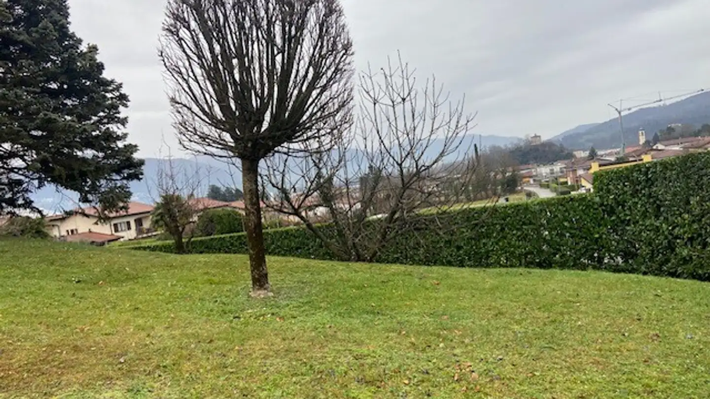 Terrain constructible à vendre - 6855 Stabio