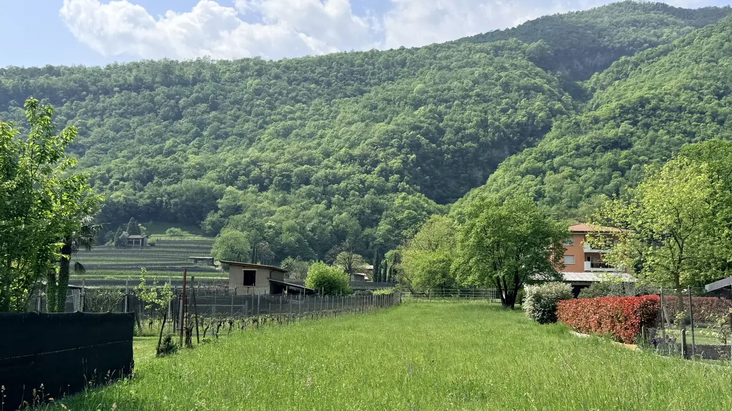 Terreno edificabile commerciale in vendita - 6826 Riva San Vitale