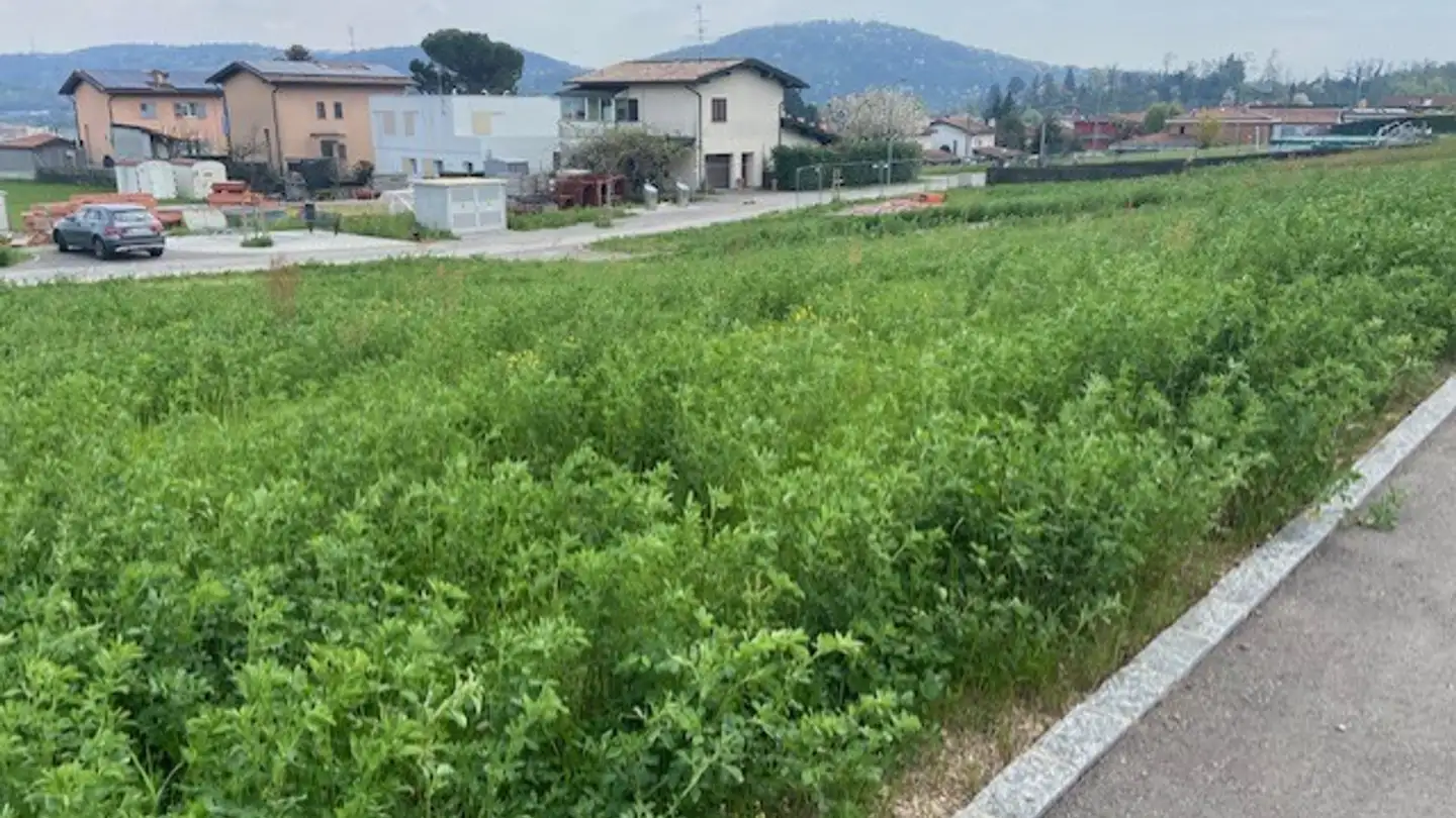 Commercial building plot for sale - 6855 Stabio