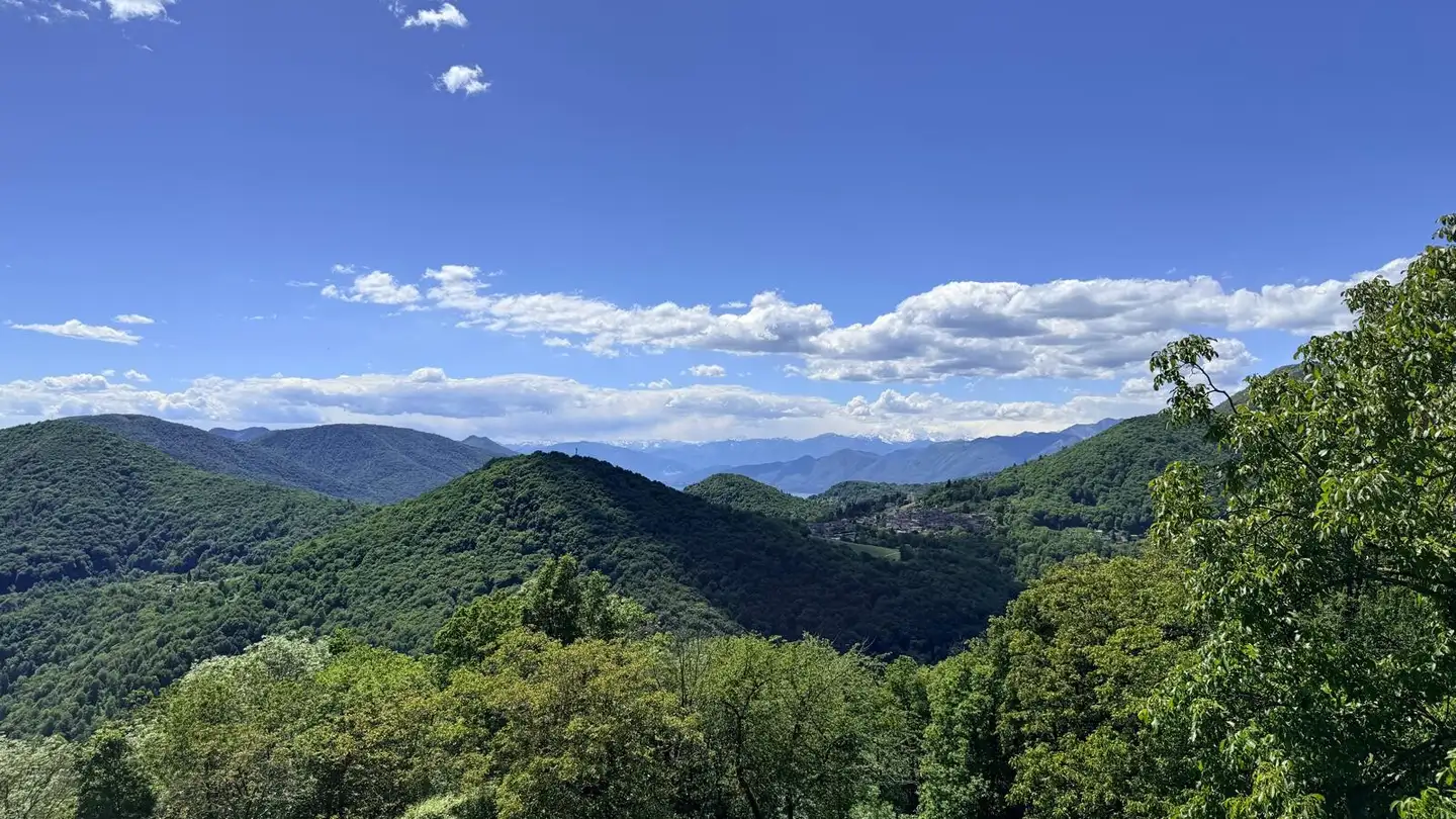 Terrain constructible à vendre - 6994 Aranno