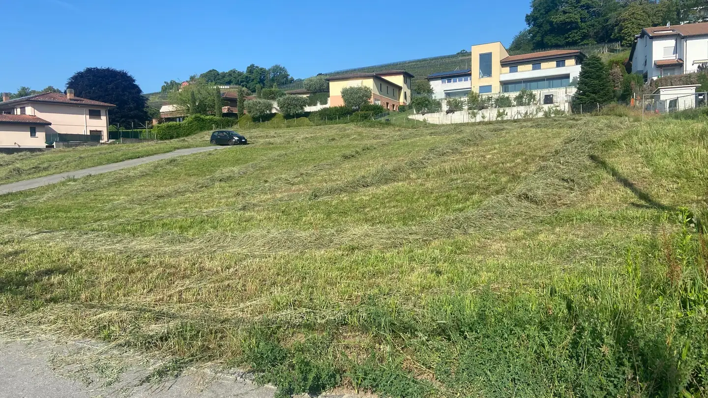 Terrain commercial à vendre - 6855 Stabio
