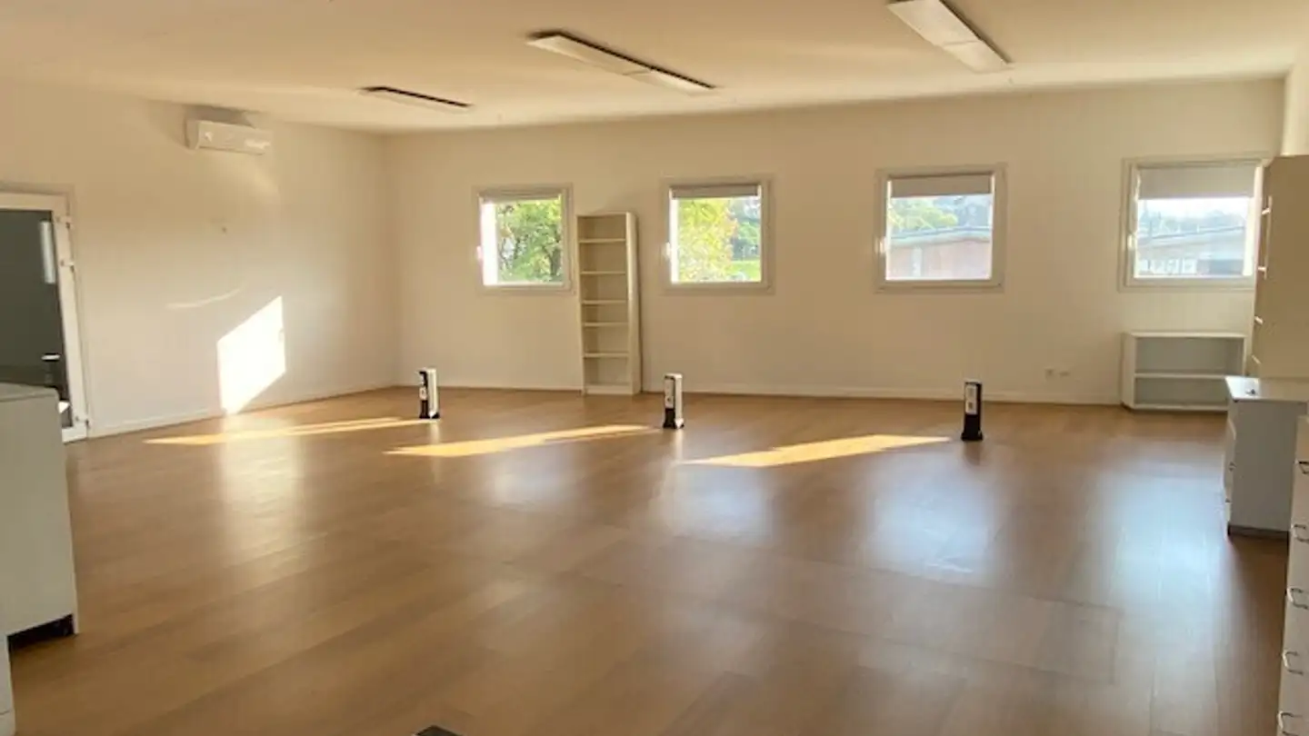 Laboratory for sale - 6828 Balerna - Photo 2