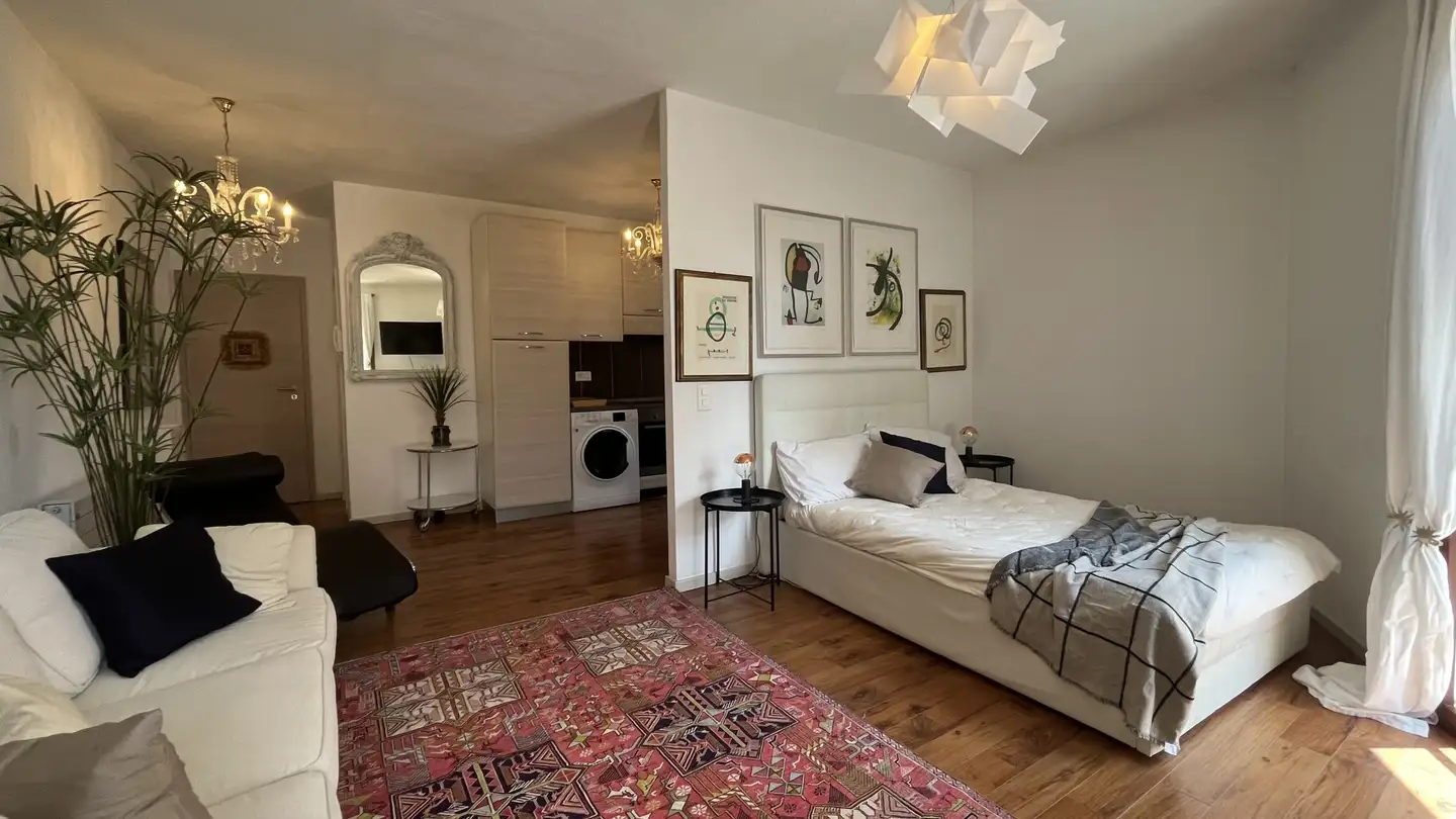 Appartamento in affitto - 6900 Massagno