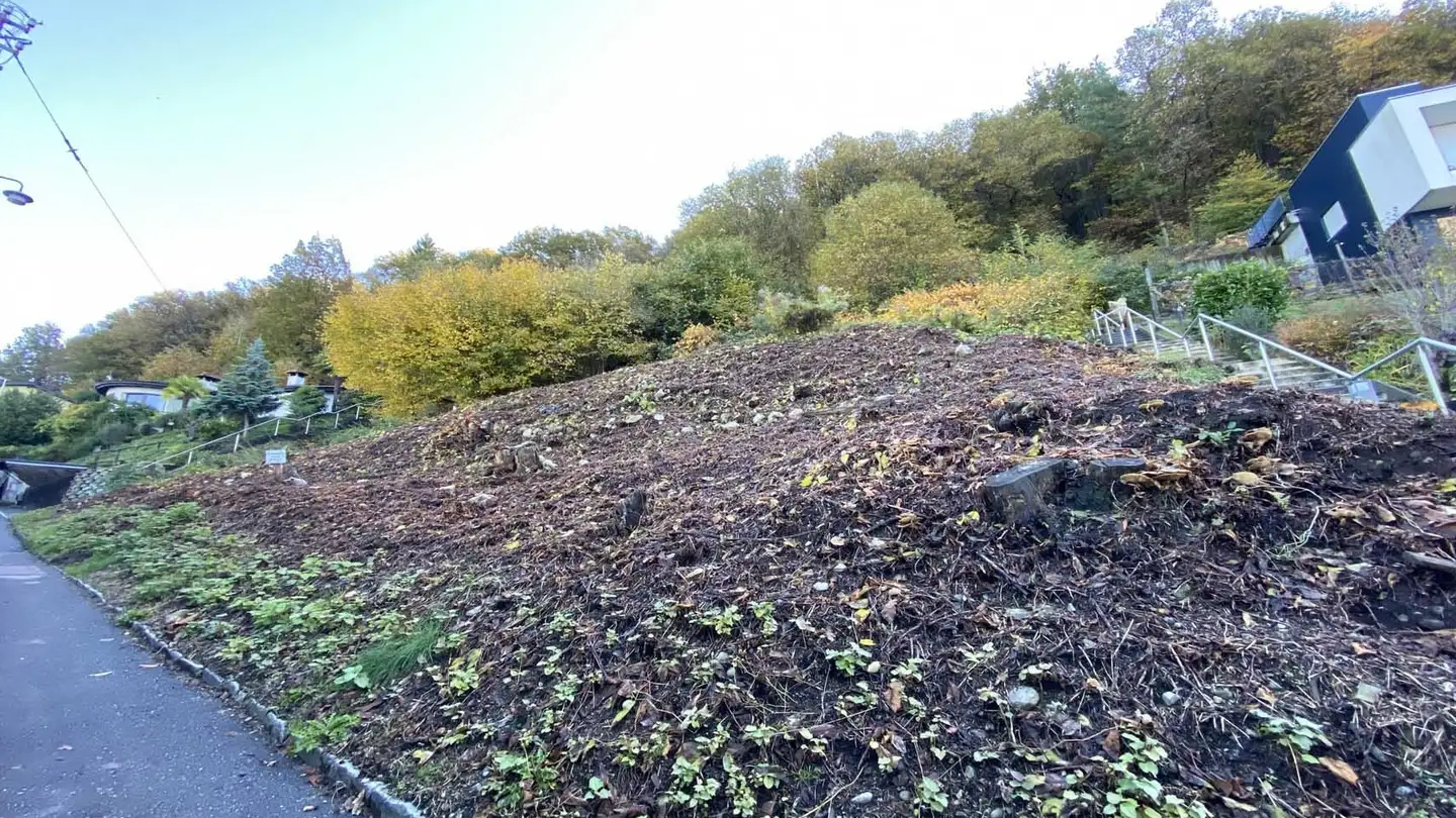 Terreno edificabile commerciale in vendita - 6576 Gerra (Gambarogno) - Photo 4