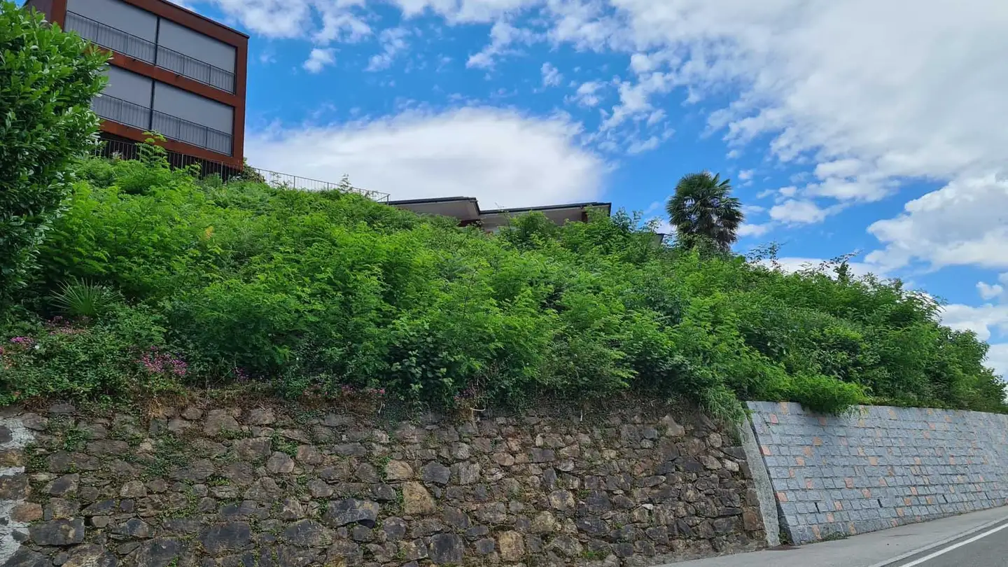 Terreno edificabile commerciale in vendita - 6991 Neggio - Photo 4