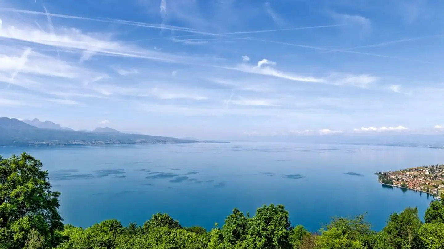 Attico in vendita - 1071 Chexbres - Photo 3