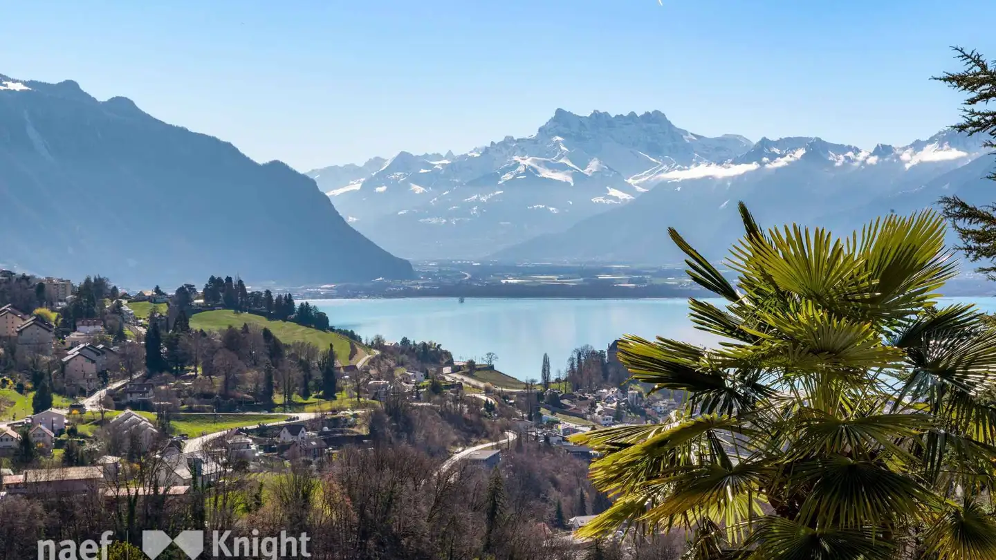 Villa in vendita - 1807 Blonay - Photo 4