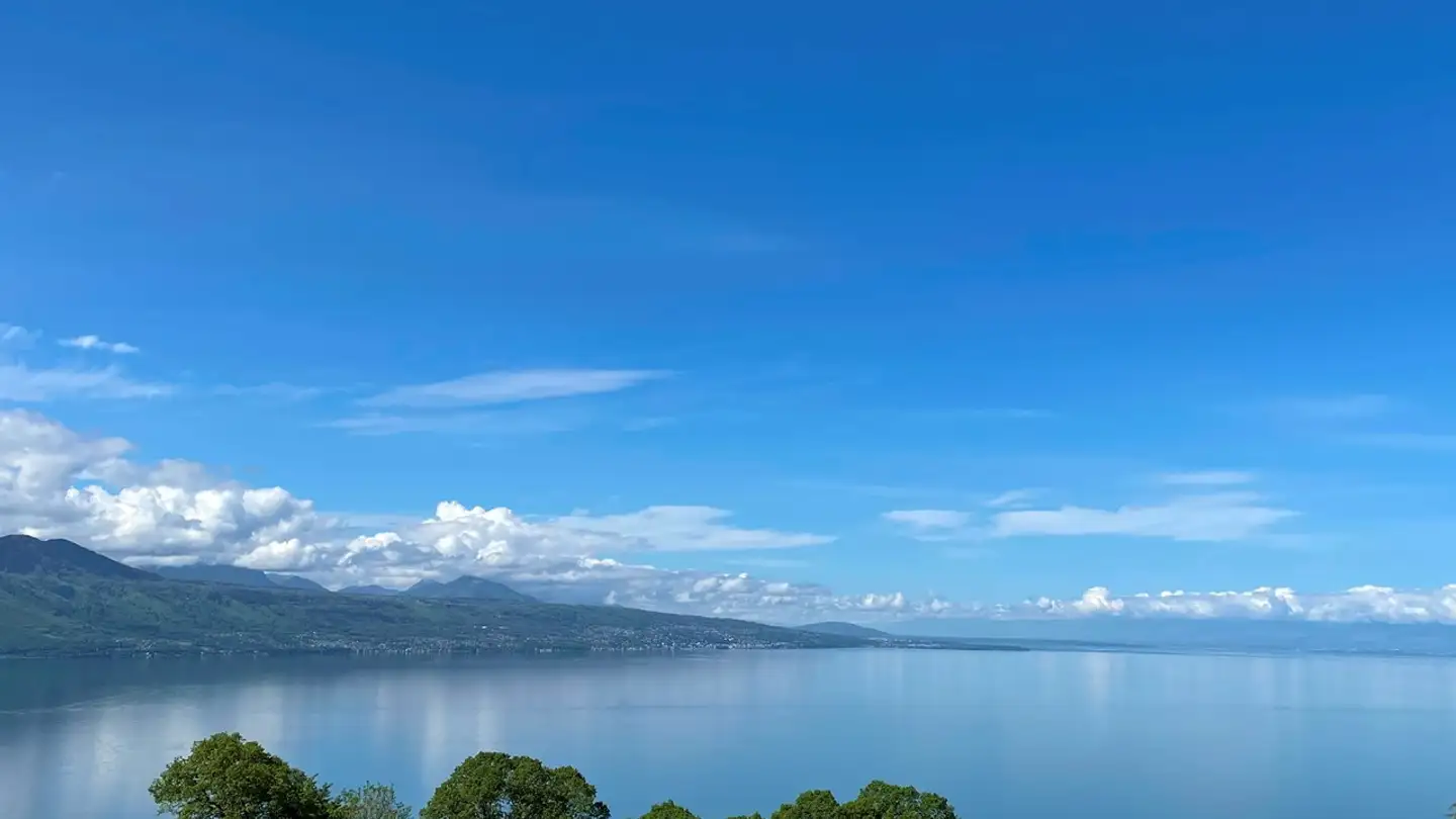 Penthouse kaufen - 1070 Puidoux - Foto 2