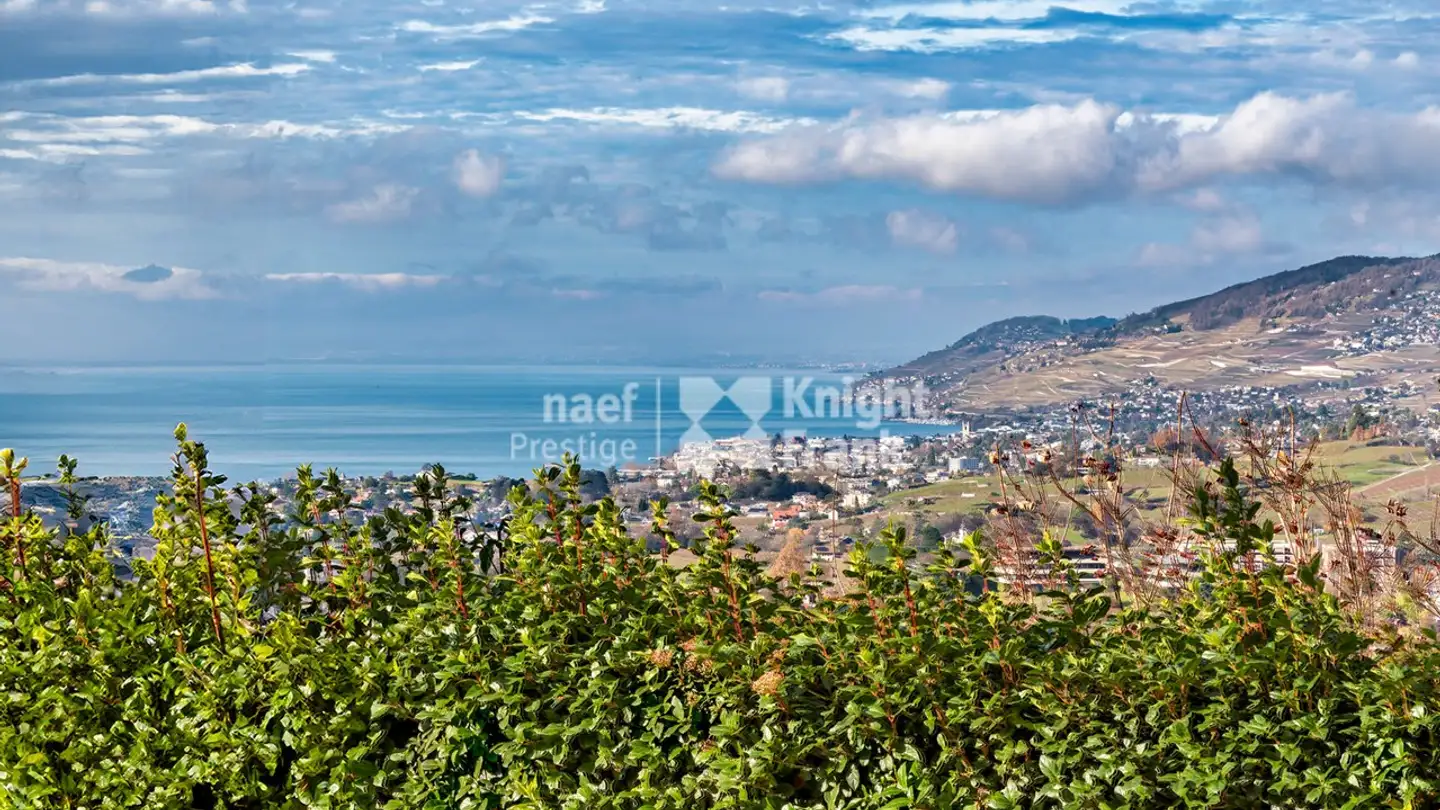 Villa in vendita - 1822 Chernex - Photo 2