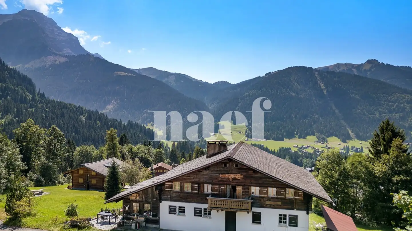 Chalet in vendita - 1865 Les Diablerets - Photo 2