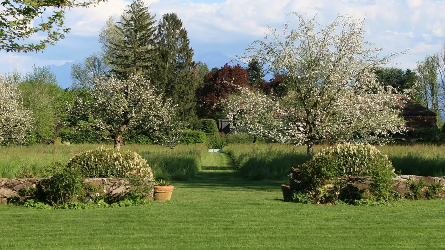 Casa singola in vendita - 1131 Tolochenaz - Foto 2