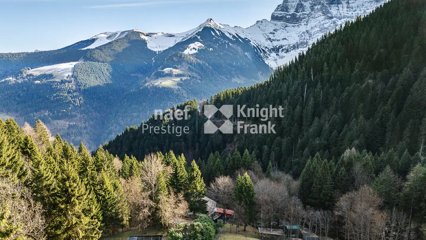 Chalet for sale - 1872 Troistorrents - Photo 2