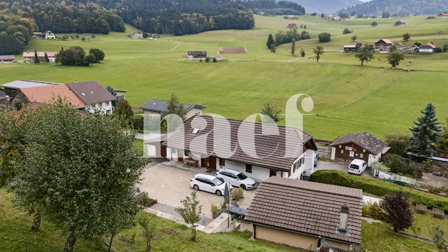 Villa for sale - 1724 Ferpicloz