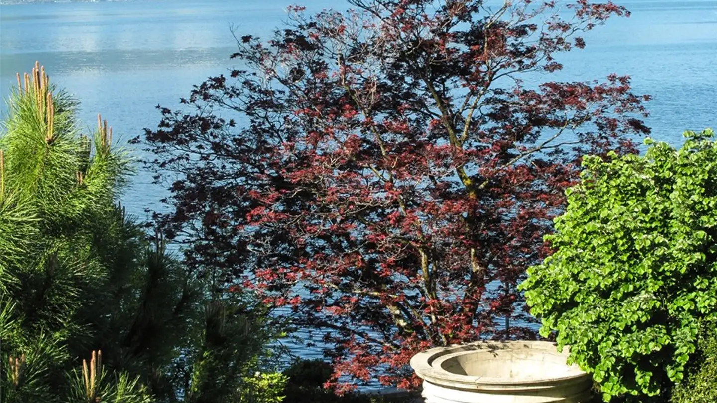 Casa singola in vendita - 1820 Montreux - Foto 4