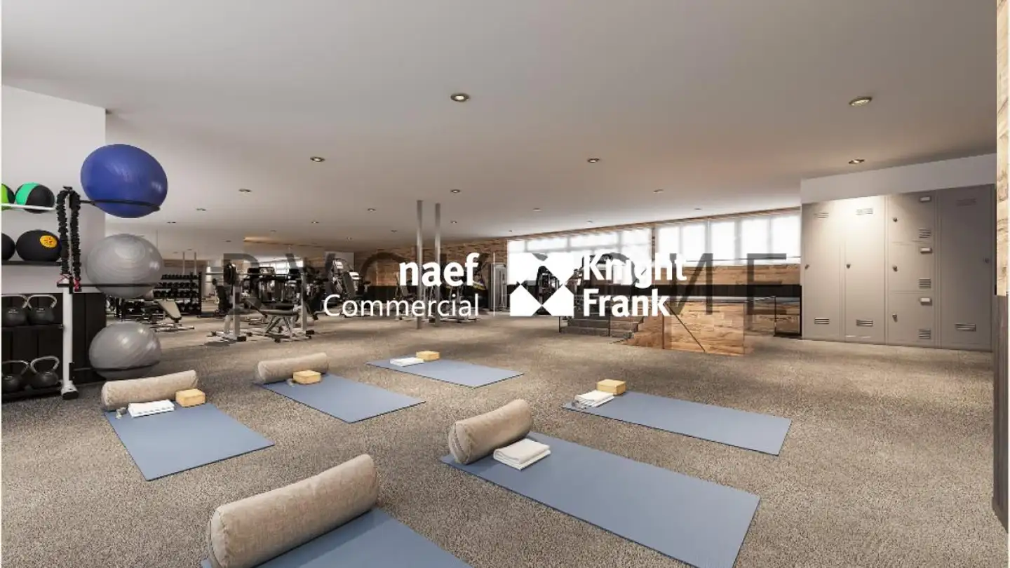 Portico in affitto - Rue De Richemont 10, 1202 Genève - Foto 3