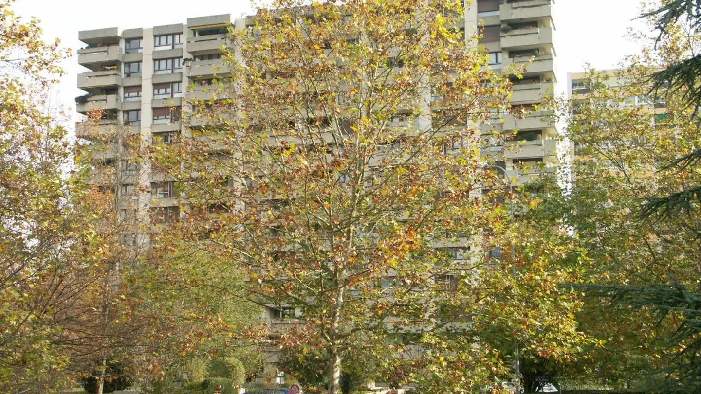 Appartamento in affitto - Rue Des Bugnons 10, 1217 Meyrin - Foto 3