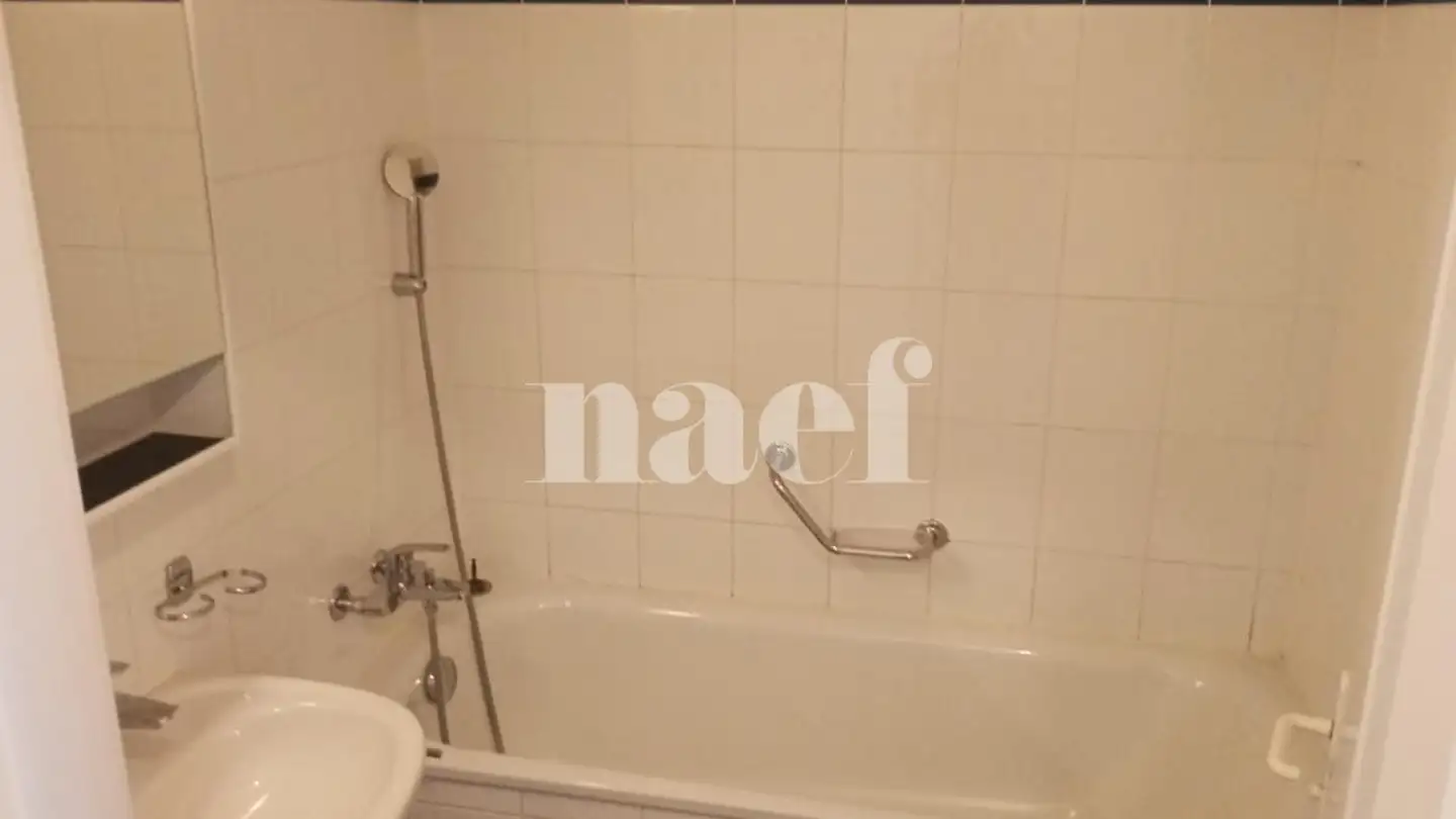 Apartment for rent - Rue Jacques- Grosselin 18, 1227 Carouge GE - Photo 3