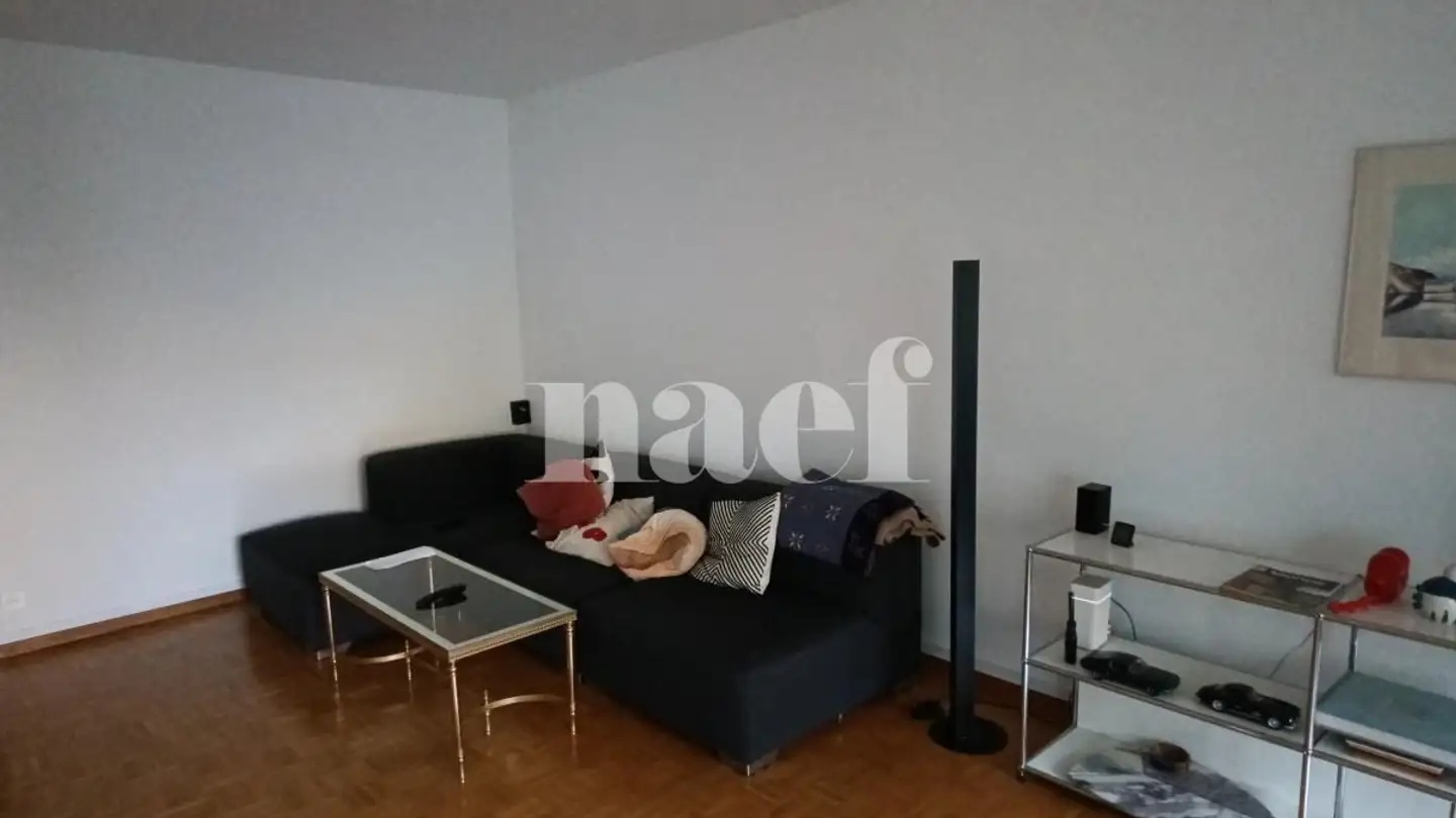 Apartment for rent - Rue De Moillebeau 57, 1209 Genève - Photo 3