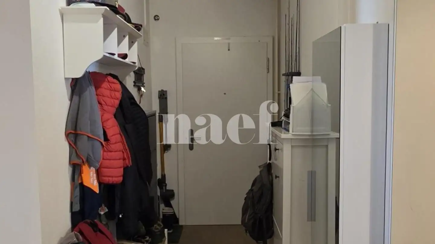 Appartement à louer - Rue De Moillebeau 55, 1209 Genève - Photo 2
