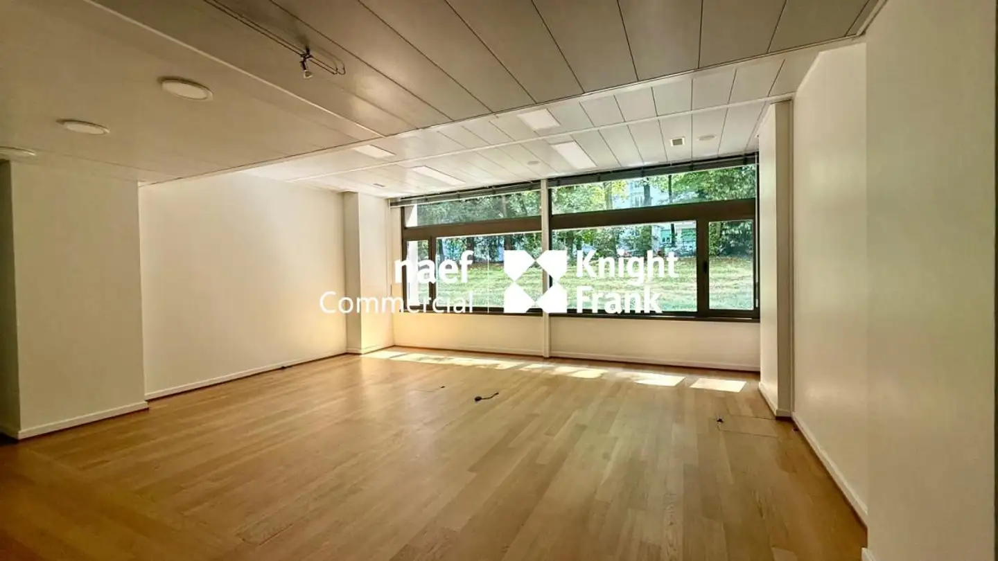 Office space for rent - Route De Malagnou 40a, 1208 Genève - Photo 4