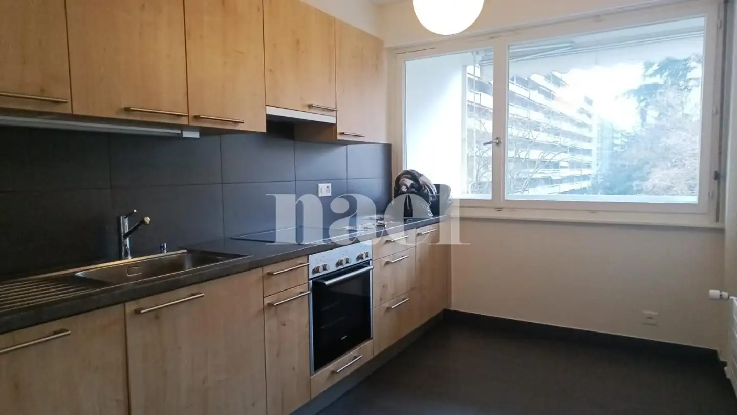Wohnung mieten - Avenue Krieg 15, 1208 Genève - Foto 2