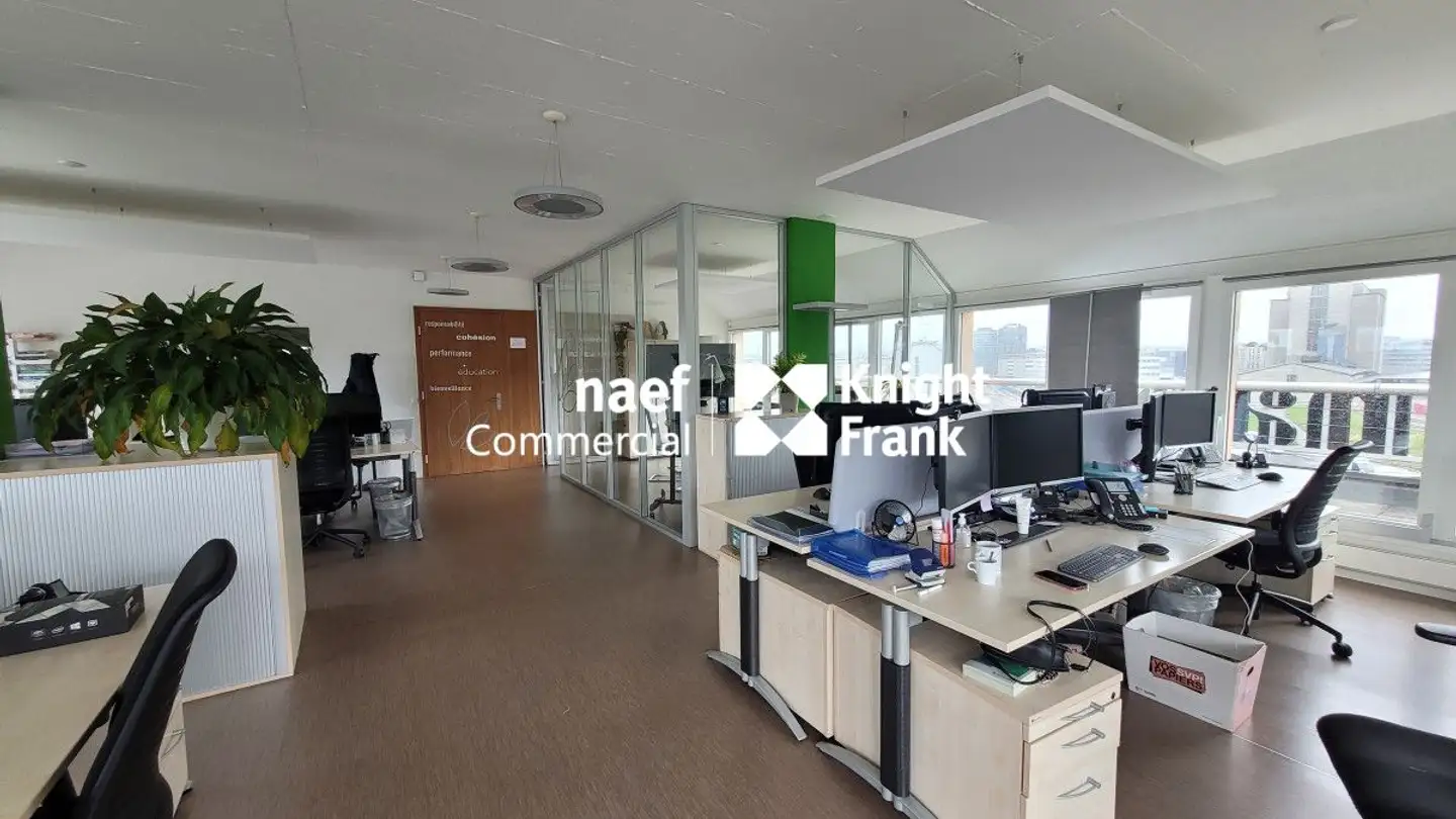 Spazio ufficio in affitto - Rue Eugène- Marziano 41, 1227 Les Acacias - Photo 4