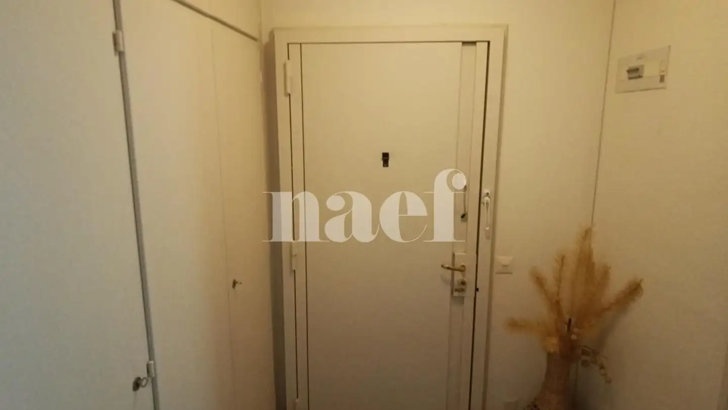 Appartement à louer - Avenue Krieg 15, 1208 Genève - Photo 2
