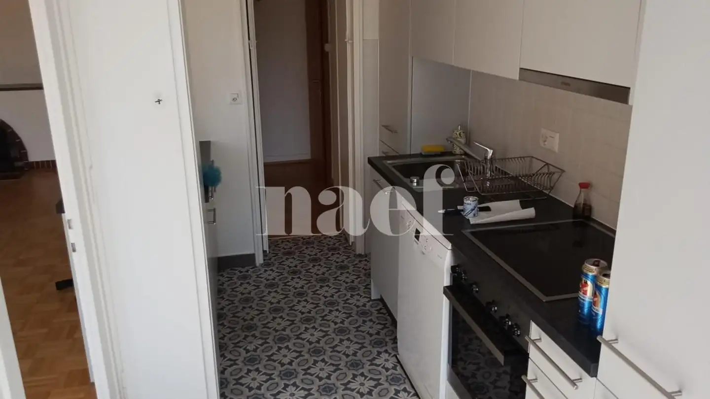 Appartement à louer - Route De Frontenex 53, 1207 Genève - Photo 4