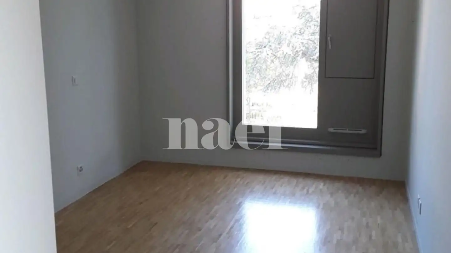 Apartment for rent - Avenue De Châtelaine 36, 1203 Genève - Photo 4