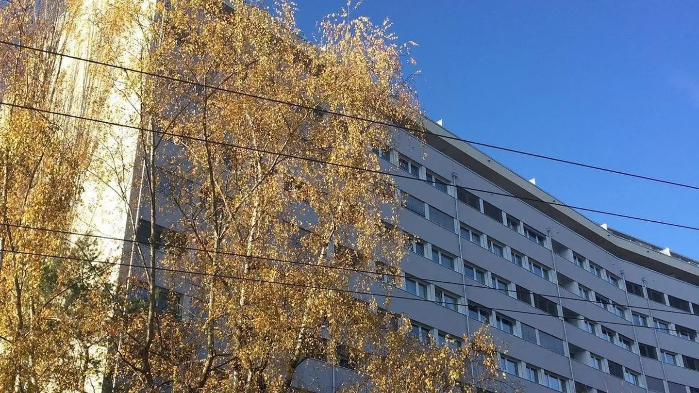 Place de parking couverte à louer - Rue De Moillebeau 55, 1209 Genève