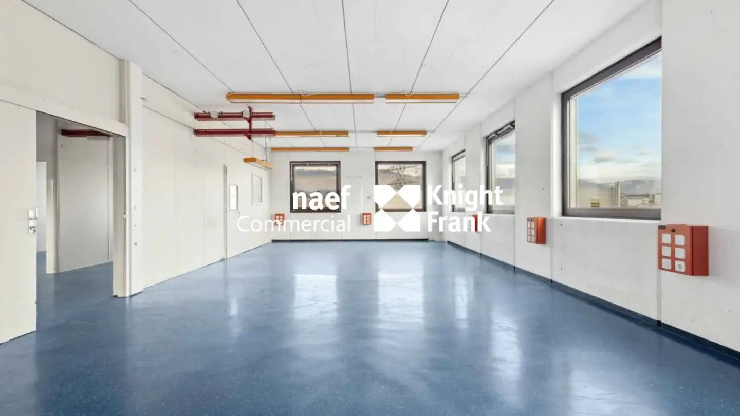 Commerciale in affitto - Rue Du Pré-De-La-Fontaine, 1217 Meyrin - Photo 4