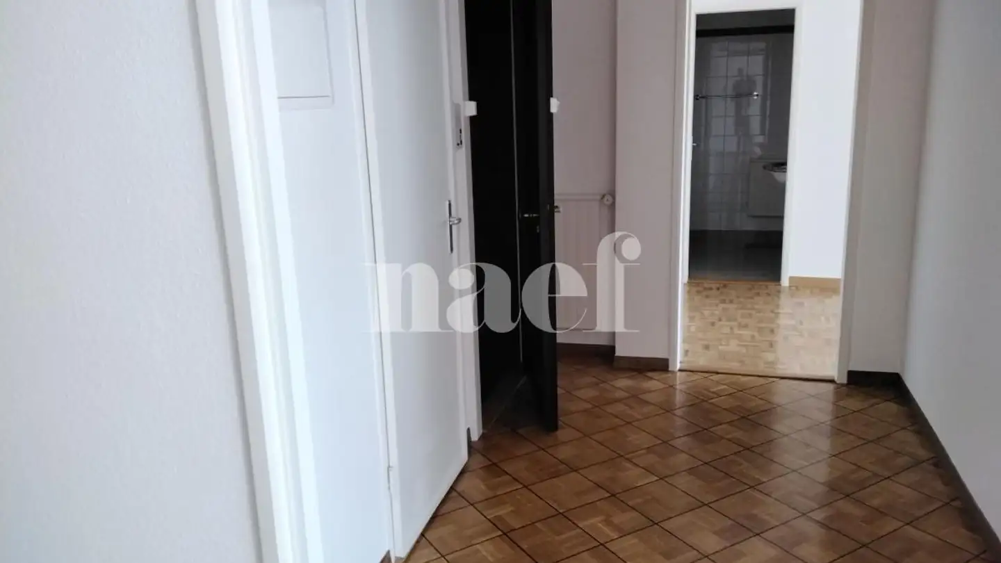 Appartement à louer - Avenue Krieg 11, 1208 Genève - Photo 2