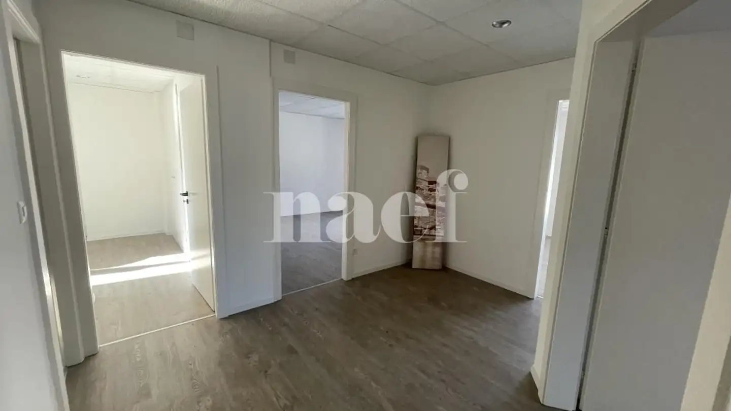 Office space for rent - Rue De La Morâche 1, 1260 Nyon - Photo 3