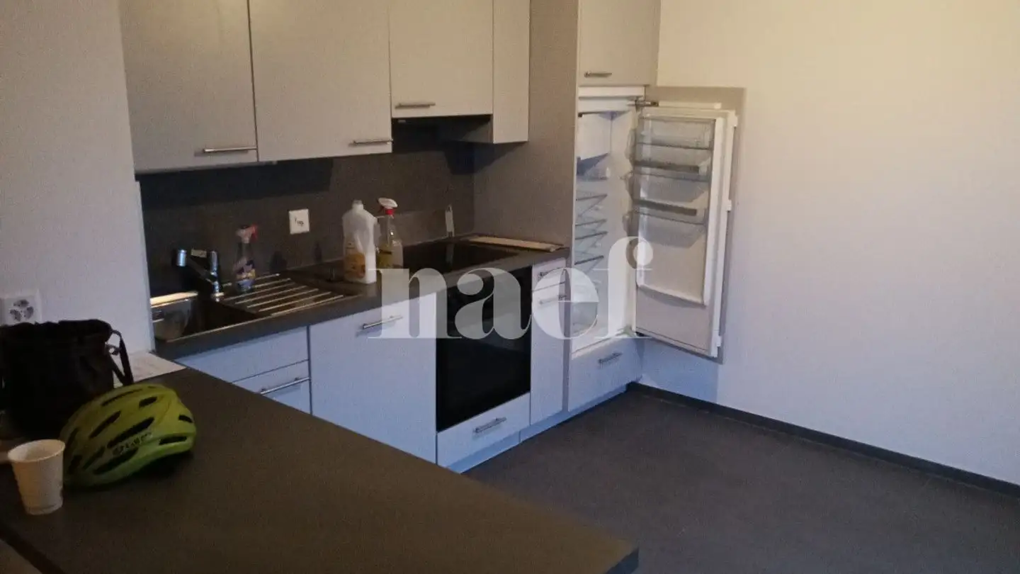 Appartamento in affitto - Chemin De La Traille 11, 1213 Onex - Foto 3