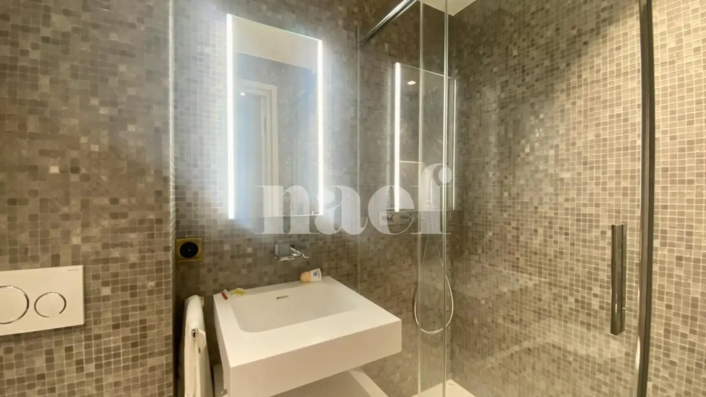 Wohnung mieten - Rue Etienne- Dumont, 1204 Genève - Foto 4