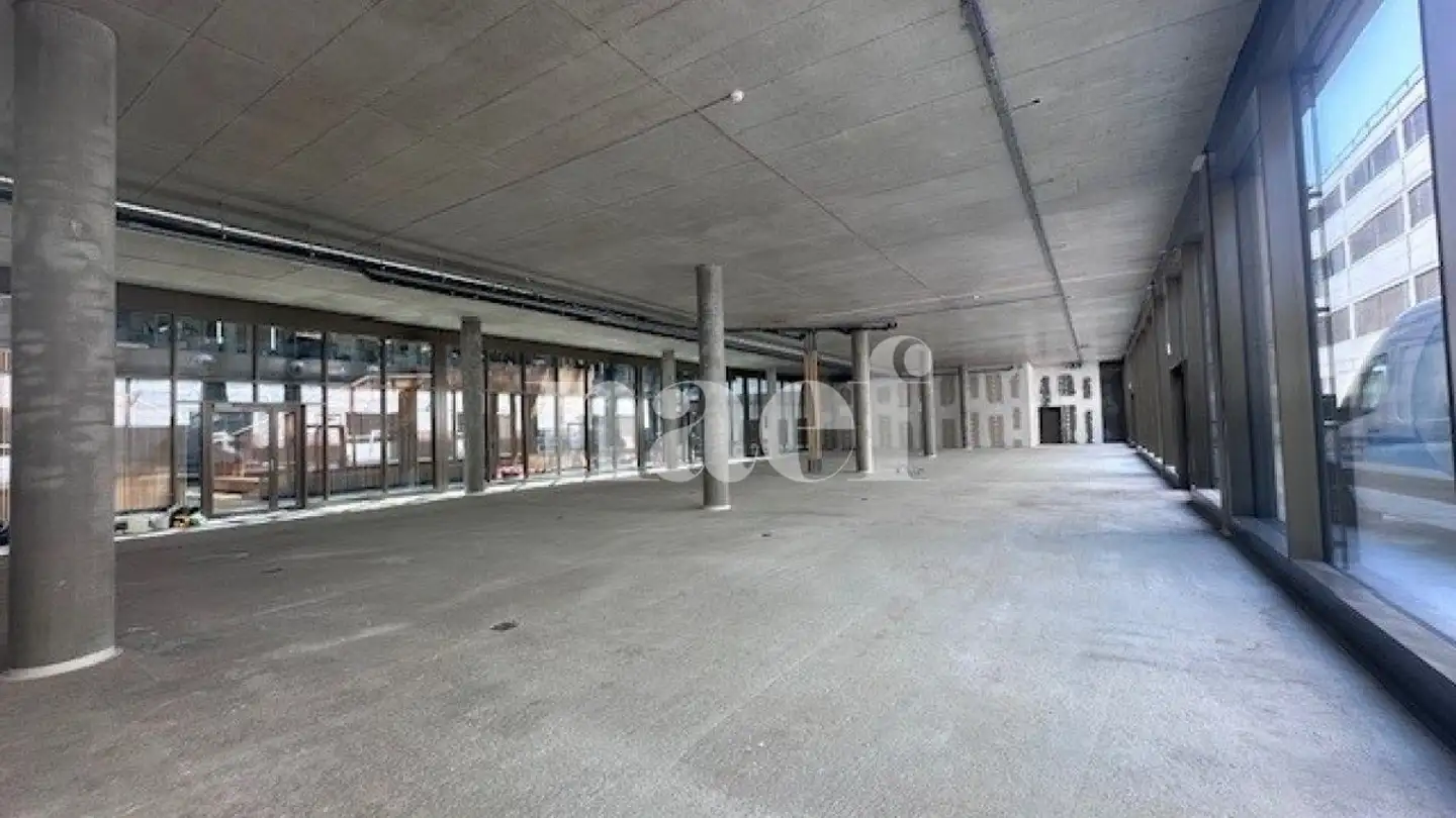 Portico in affitto - Chemin Du Champ-Des-Filles 4, 1228 Plan-les-Ouates - Photo 3