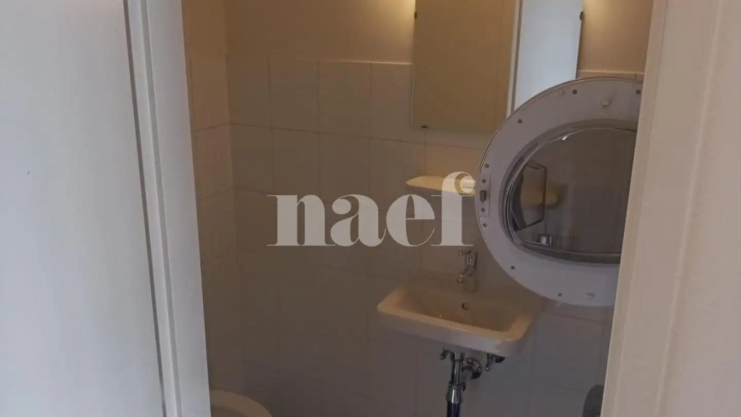 Apartment for rent - Rue Jacques- Grosselin 18, 1227 Carouge GE - Photo 4