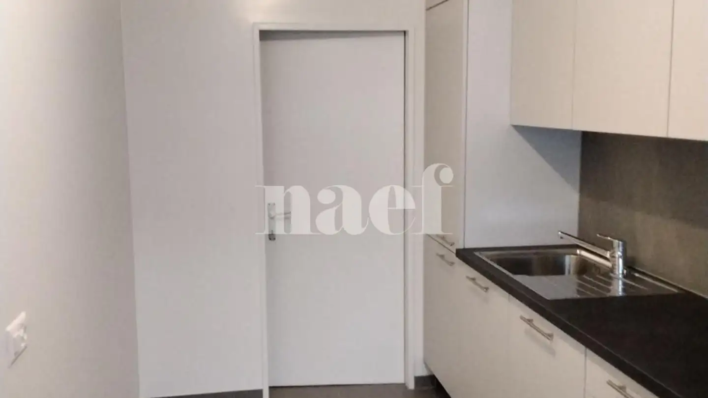 Appartamento in affitto - Rue Albert- Gos 5, 1206 Genève - Foto 4