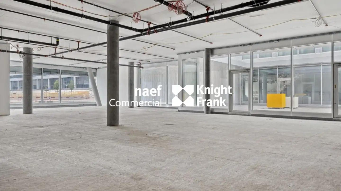 Portico in affitto - Route De La Galaise 32, 1228 Plan-les-Ouates - Photo 4