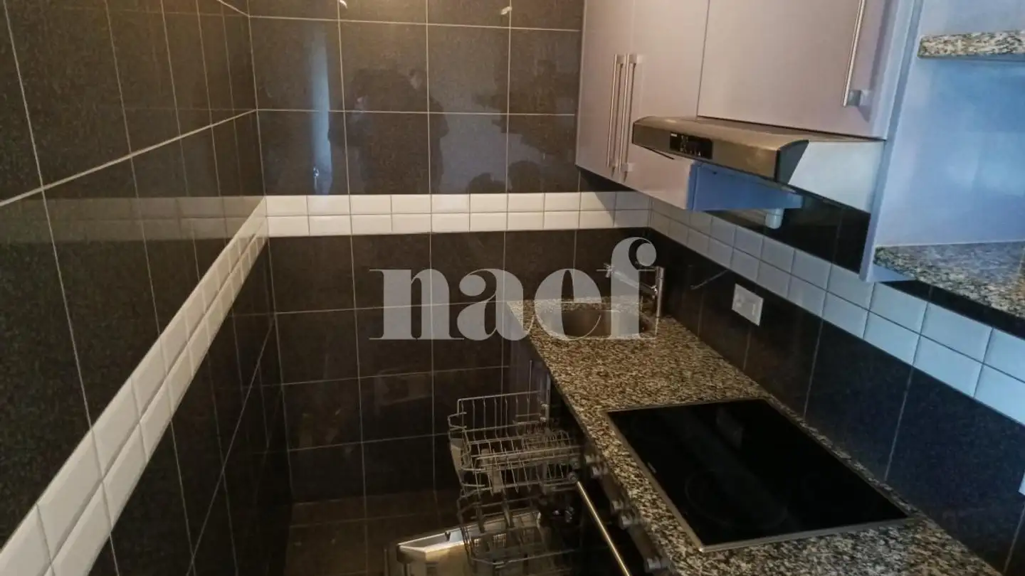 Studio for rent - Rue De-Candolle 9, 1205 Genève - Photo 3