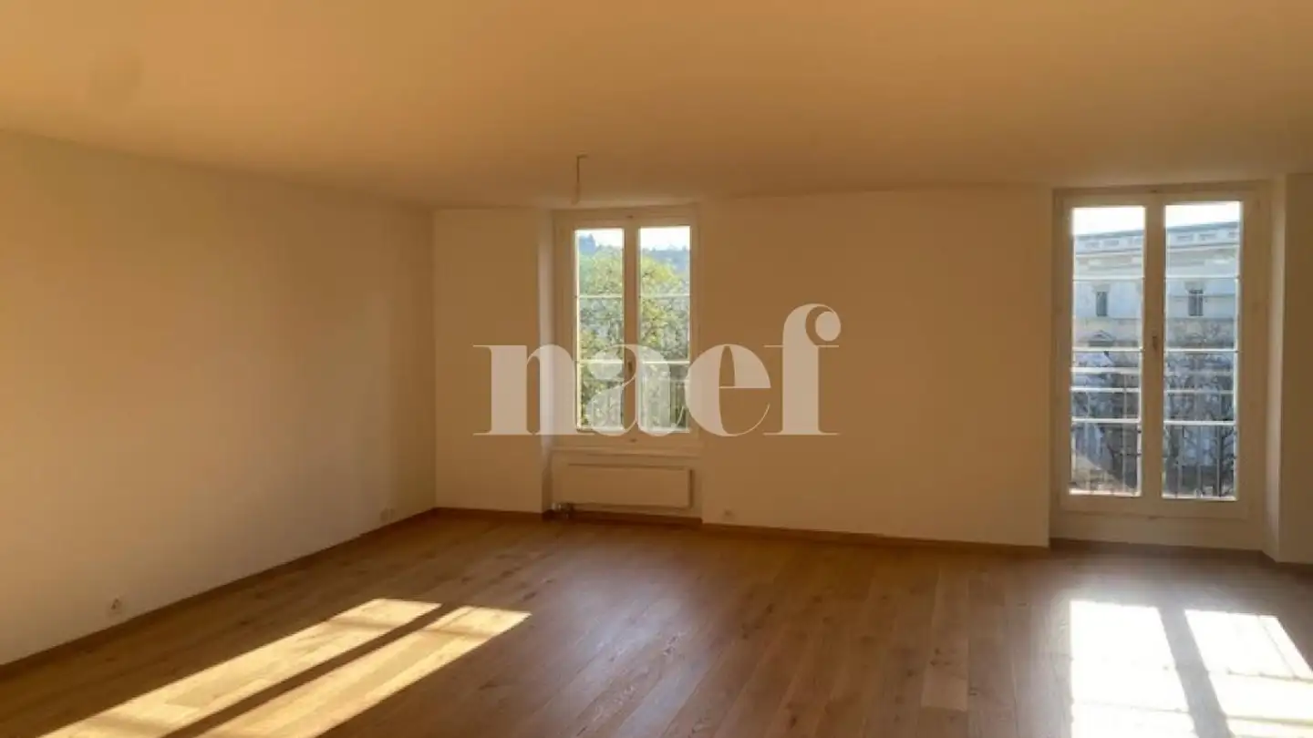 Appartement à louer - Rue Du Conseil-Général 8, 1205 Genève - Photo 4