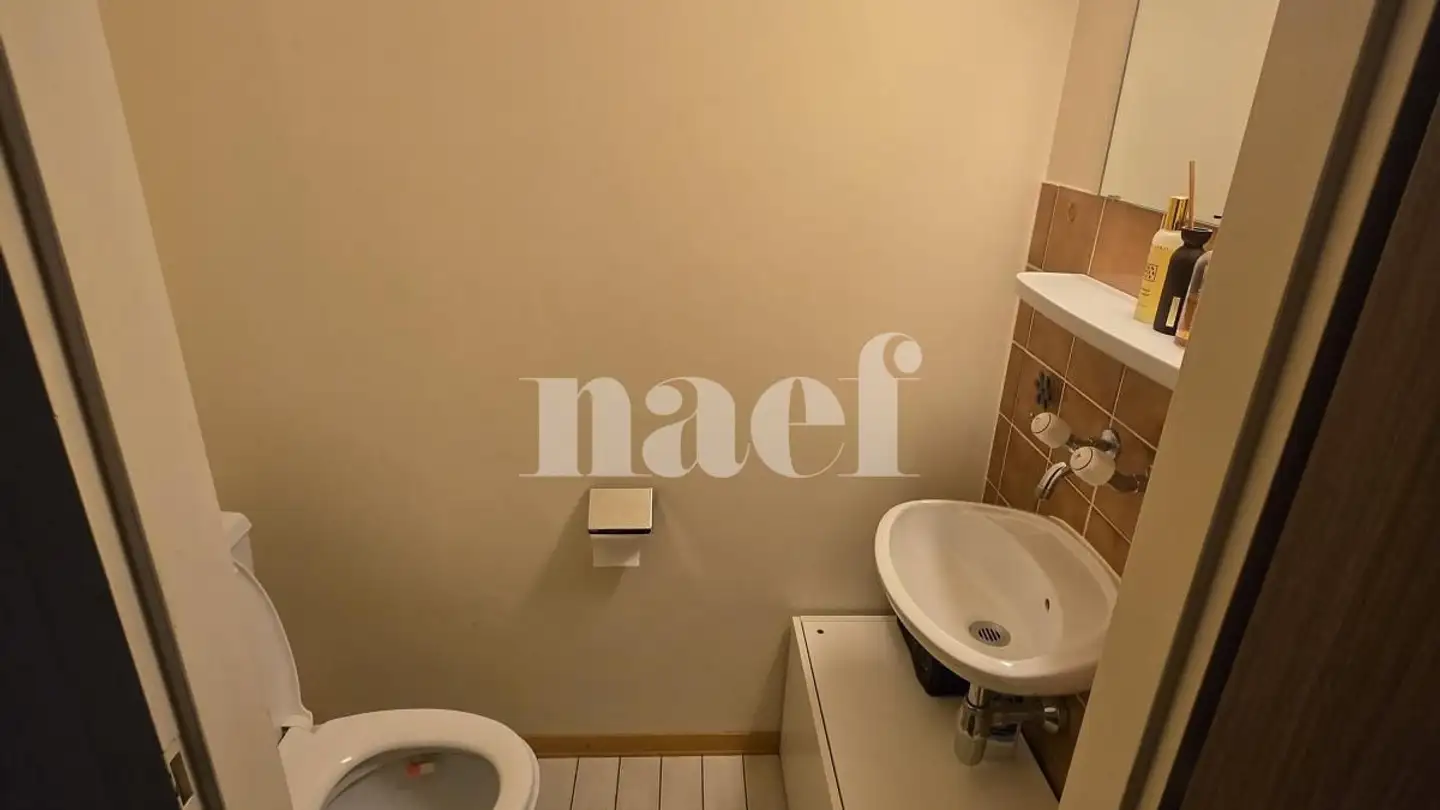 Appartamento in affitto - Rue Des Bugnons 10, 1217 Meyrin